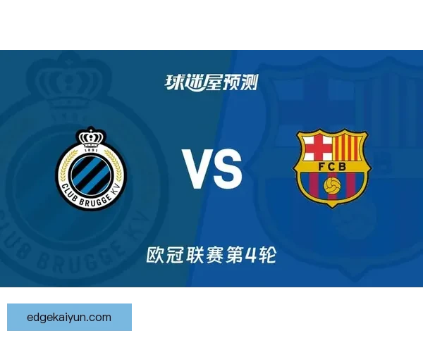 布鲁日数据分析