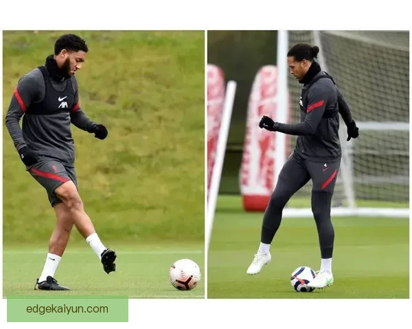 范戴克术后恢复进展顺利，预计逐步回归训练